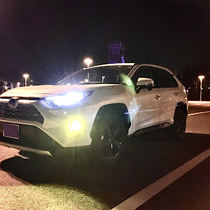 RAV4 MXAA54