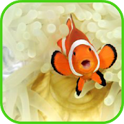 fish wallpaper 1.1 Icon