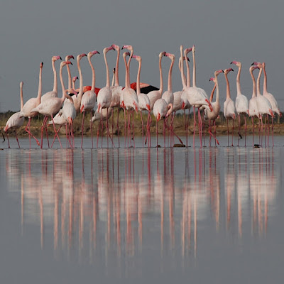 Riflessi sull' Acqua di InsolitiScatti-di-CarloSoro