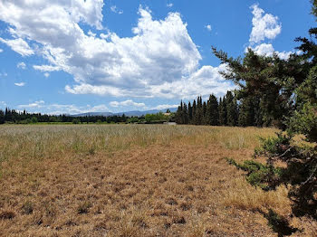 terrain à Villeneuve-la-Rivière (66)