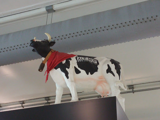 Cow on the Roof