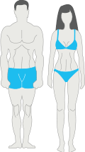 C:\Users\miray\Desktop\mesomorph.png