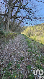 terrain à Quezac (15)