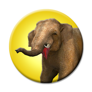 Safari.apk 1.01