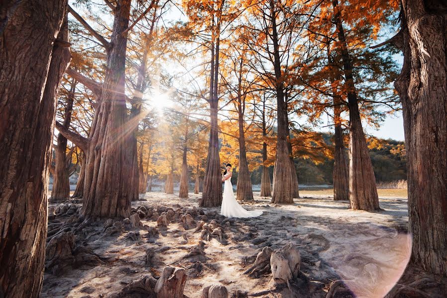 婚禮攝影師Aleksey Gorodko（agor）。2014 11月18日的照片