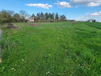 terrain à Saint-Martin-la-Pallu (86)