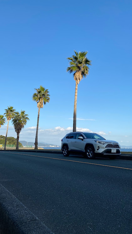 RAV4のピックアップ狙い・RAV4・純正ホイール・最高のメンバーに関するカスタム事例の投稿画像2枚目
