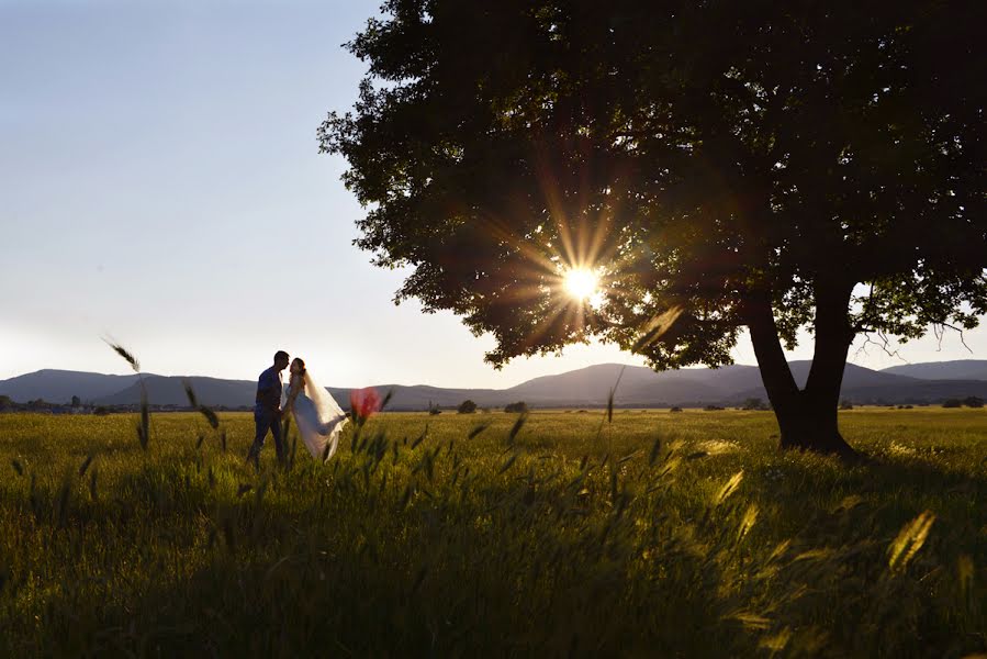 結婚式の写真家Elena Nizhegorodceva (elenan)。2015 6月3日の写真