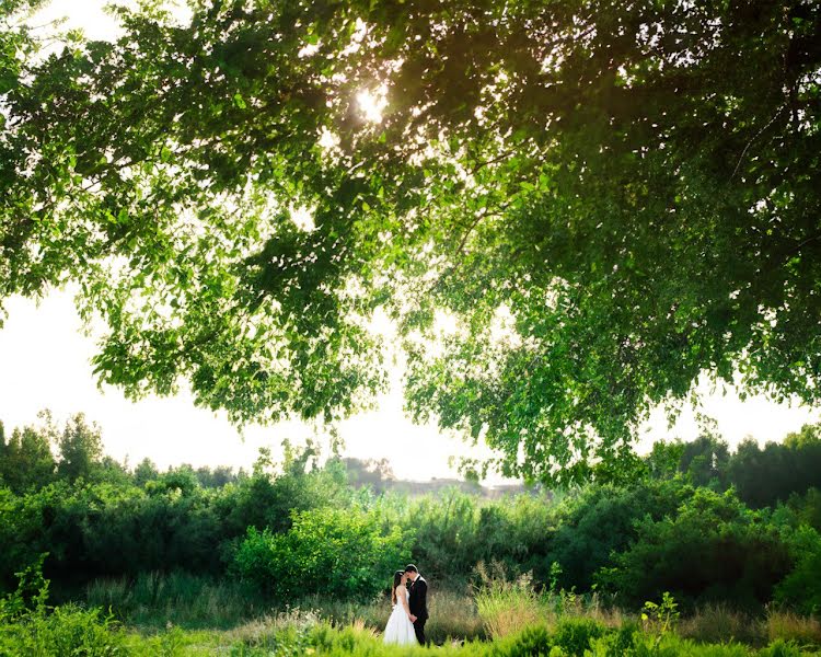 Fotografo di matrimoni Ben Tal (bental). Foto del 17 luglio 2023