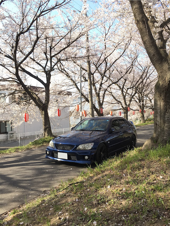 アルテッツァのドライブ・桜とコラボに関するカスタム事例の投稿画像1枚目