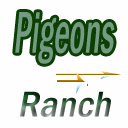 Pigeon Ranch Chrome extension download