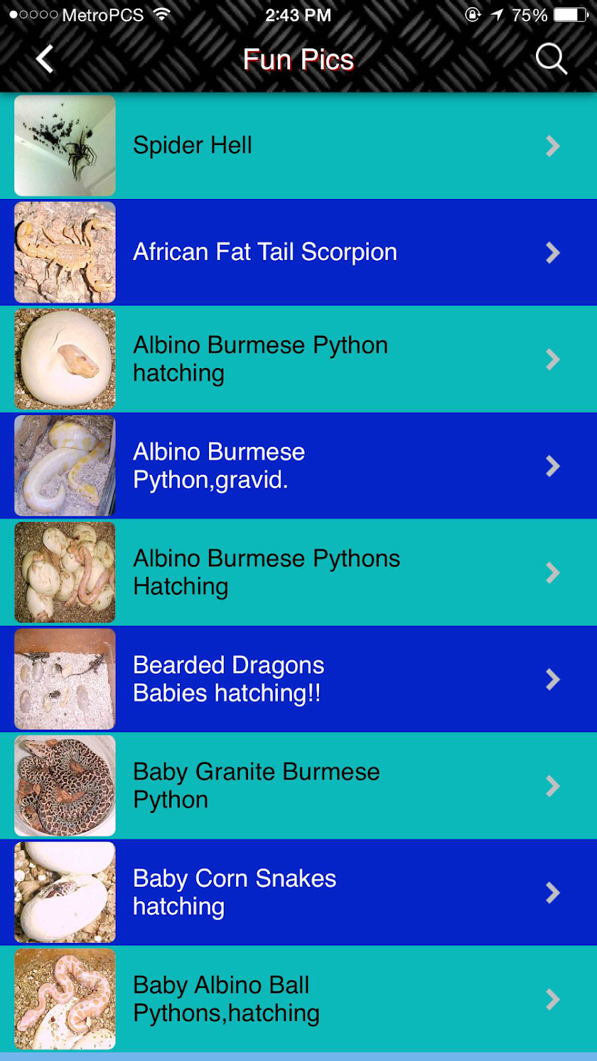 The Tarantula App Screen 3