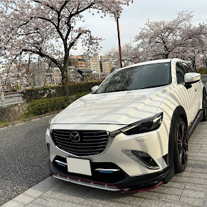 CX-3 DK5AW