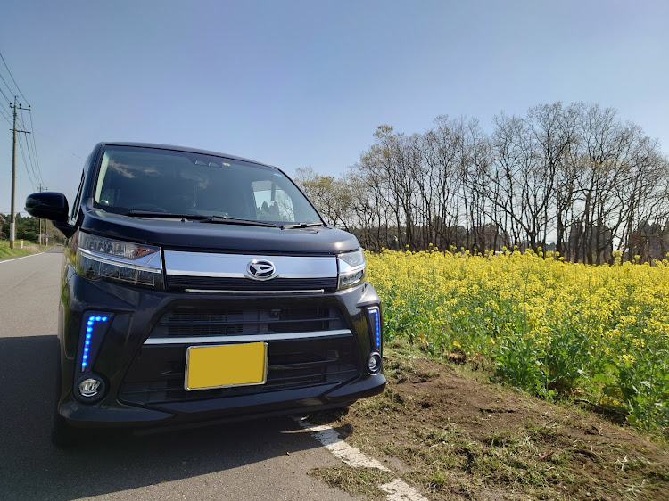 ムーヴの最高のクルマ・菜の花畑・菜の花と愛車に関するカスタム事例の投稿画像1枚目