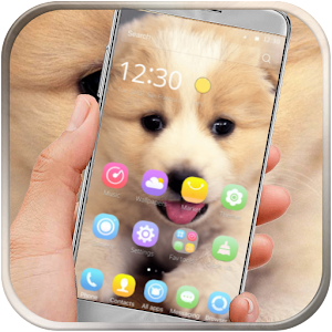 Download Cute puppy For PC Windows and Mac