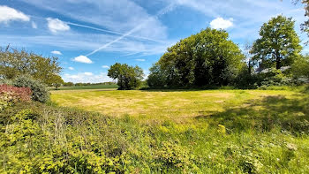 terrain à Louvigné-de-Bais (35)