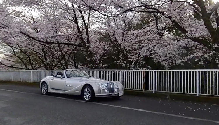 卑弥呼のサクラと愛車・ミツオカヒミコ・光岡自動車・光岡結・桐生市南公園に関するカスタム事例の投稿画像3枚目