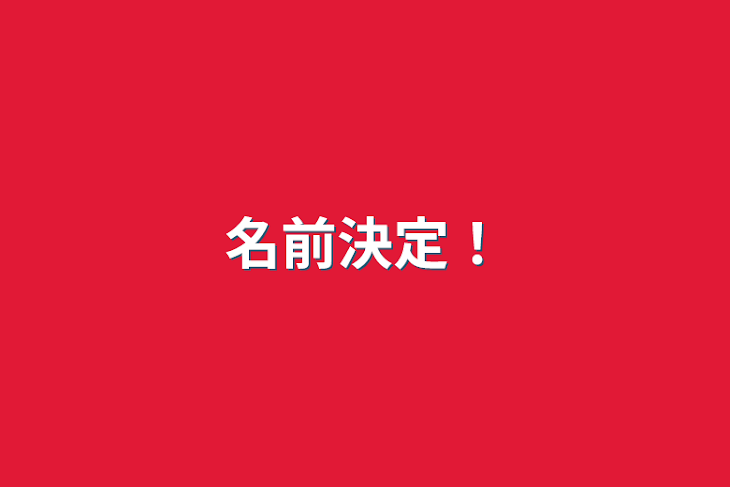 「名前決定！」のメインビジュアル