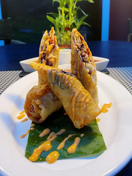 Non Veg Spring Roll