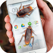 Cockroaches in Phone Ugly Joke  Icon