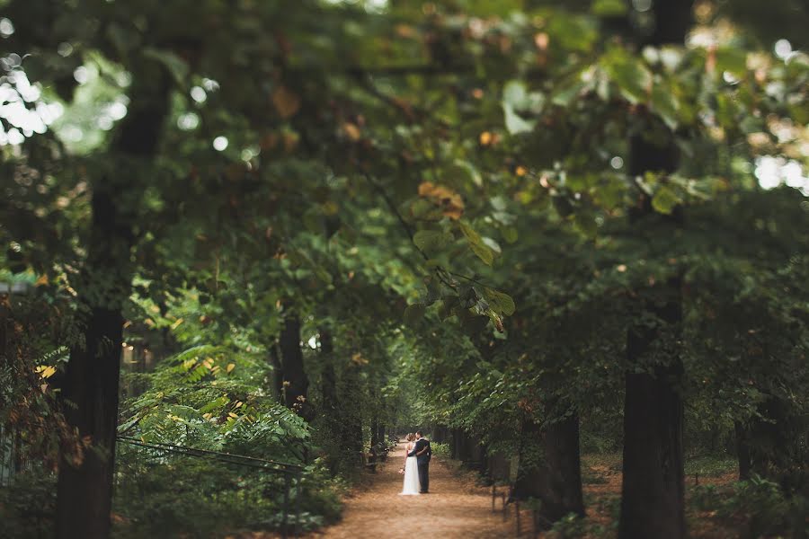 Photographe de mariage Serezha Bormatov (serezhabormatov). Photo du 27 novembre 2015