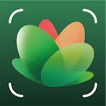 Cover Image of Télécharger NatureID: Identify plant, flower, tree, cat & dog! 1.2.4 APK