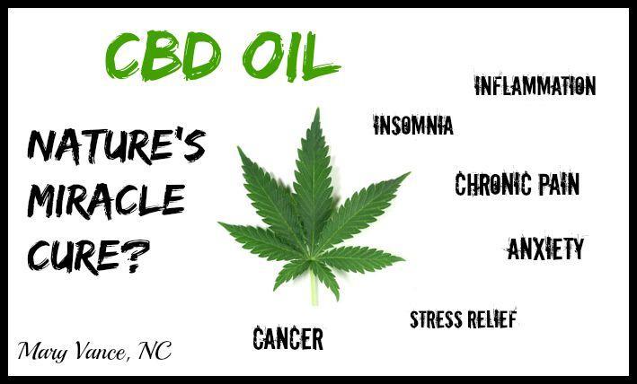 Image result for How Does CBD Oil Help You to Lessen the Stress and Anxiety