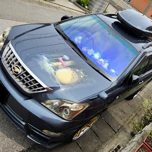 ハリアー ACU30W