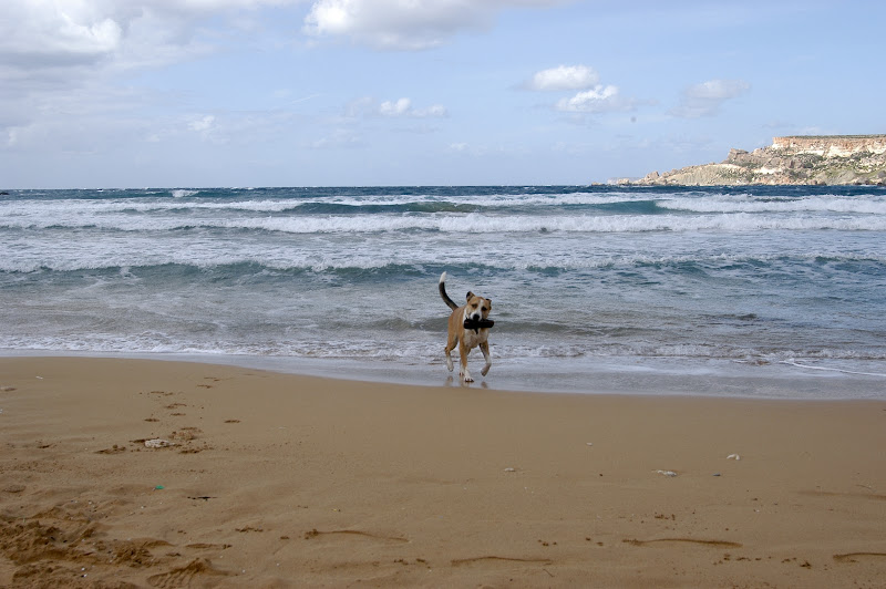 A Winter Sunday in Malta di CarlottaGabriella