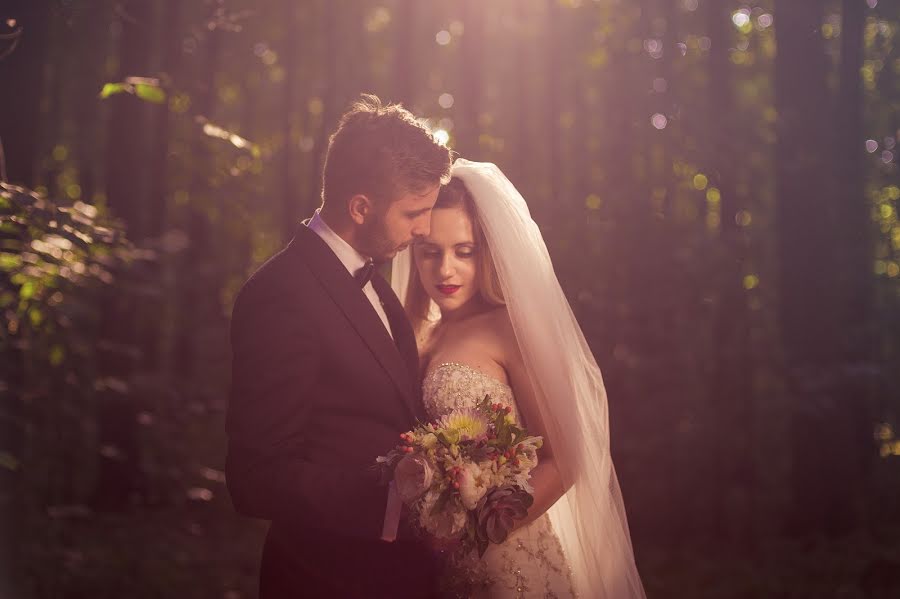 Fotógrafo de casamento Daniel Anghelache (danielanghelach). Foto de 25 de novembro 2016