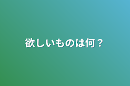 欲しいものは何？