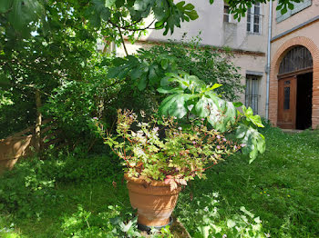 appartement à Montauban (82)