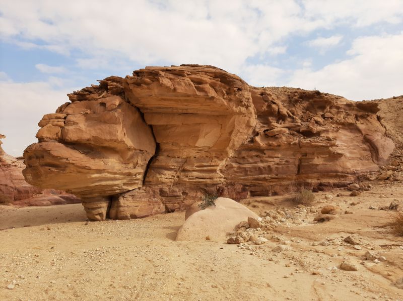 10 дней в Израиле в феврале: история, природа, отдых