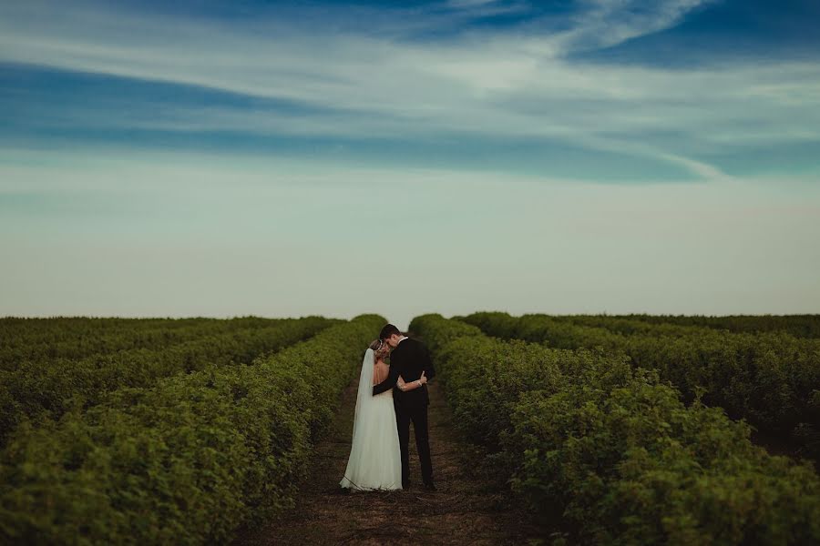 Wedding photographer Kacper Białobłocki (kbfoto). Photo of 13 June 2017