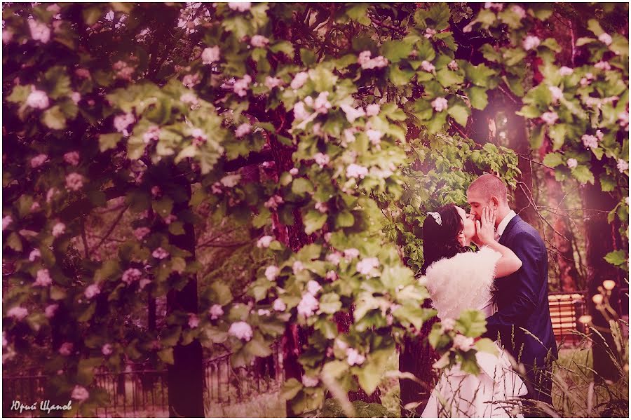 Fotógrafo de casamento Yuriy Schapov (jam-sakh). Foto de 5 de agosto 2014