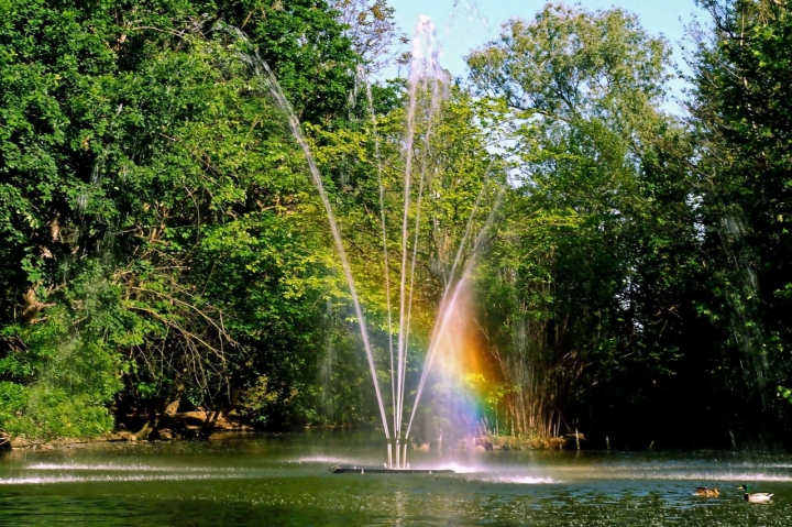 Incanto di acquario