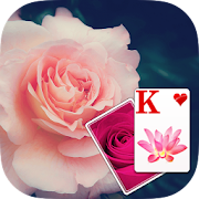 Solitaire Purple Rose Theme  Icon