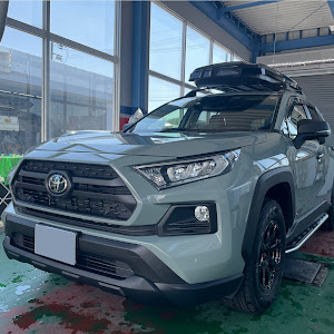 RAV4 MXAA54
