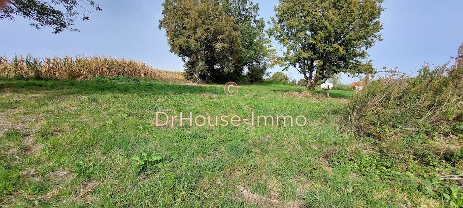 Vente terrain  3728 m² à Chauffour-lès-Bailly (10110), 80 000 €