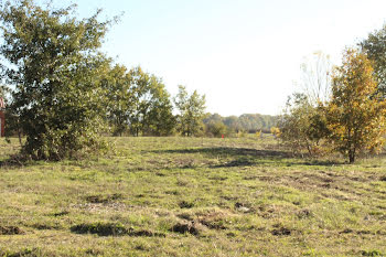 terrain à Nègrepelisse (82)