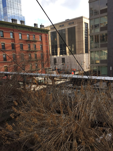 High Line and Chelsea