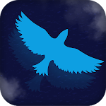 Cover Image of ดาวน์โหลด Fly Wings 1.0 APK