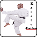 Cover Image of Download Shotokan karate 1.0 APK