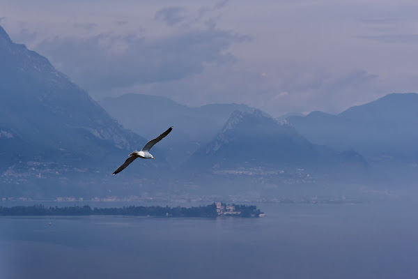 nel blu dipinto di blu...... di Silvano