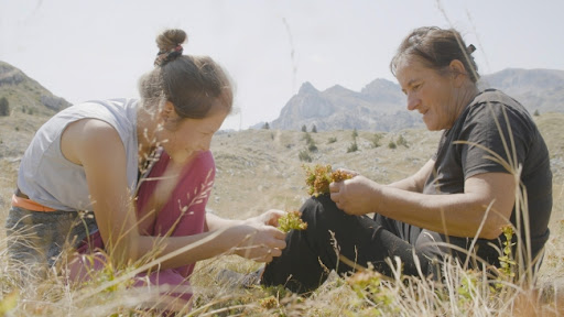 Film Planina otvara takmičarski program dokumentarnog filma Sarajevo Film Festivala