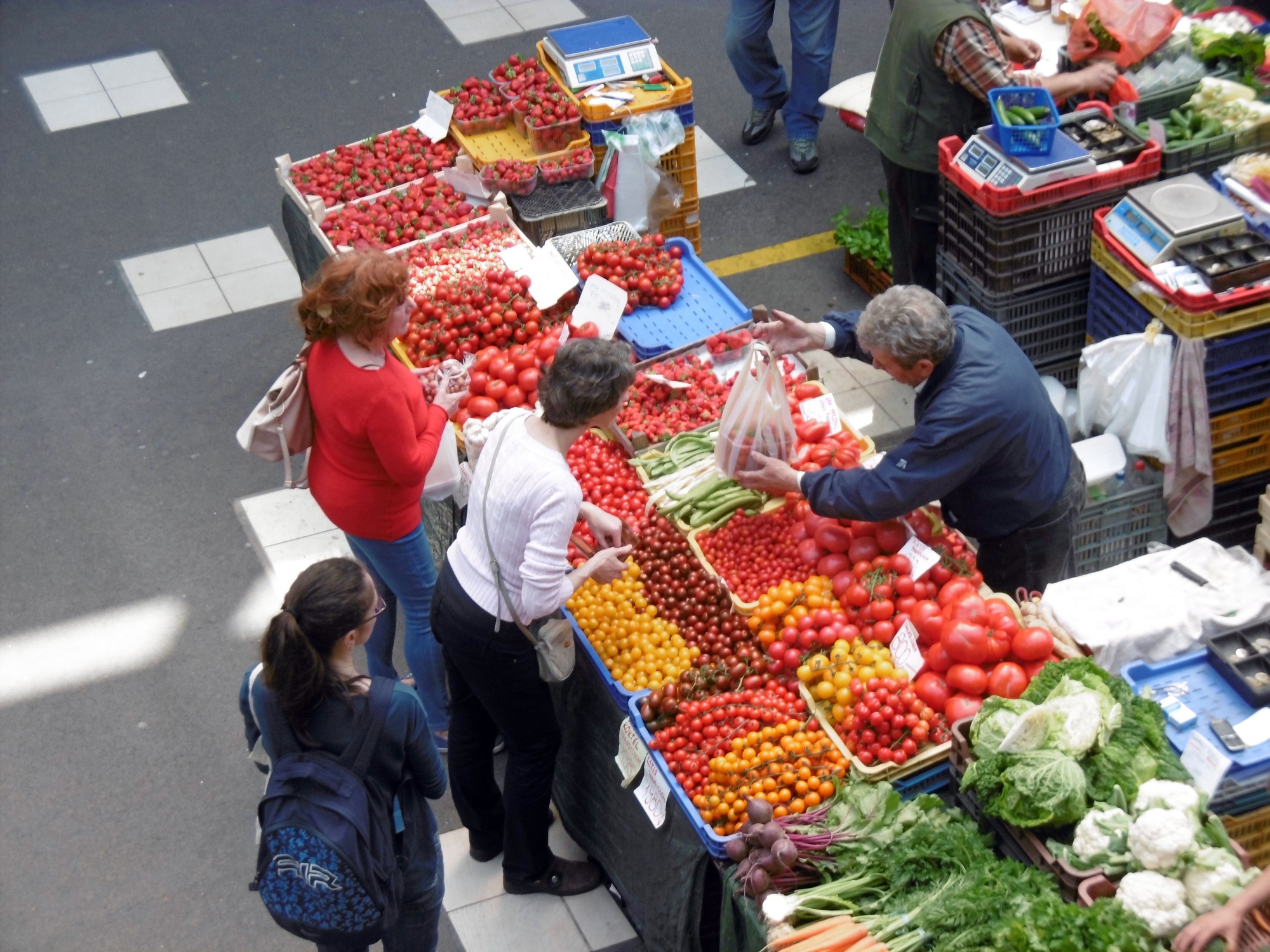 Come un pomodoro a Budapest di Claudia Masottini