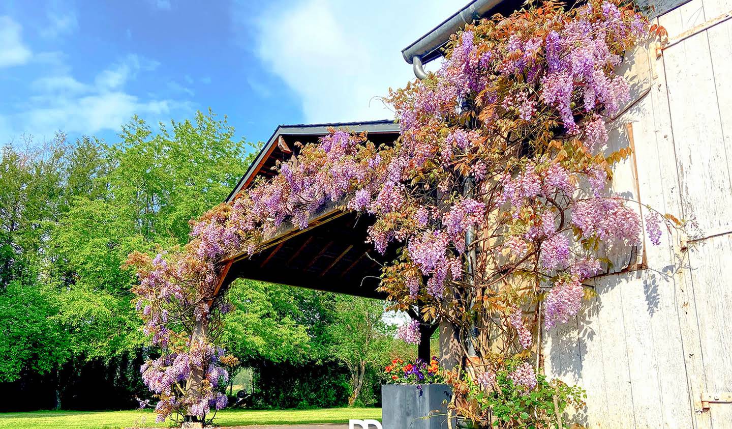 Propriété avec piscine et jardin Vic-sur-Aisne