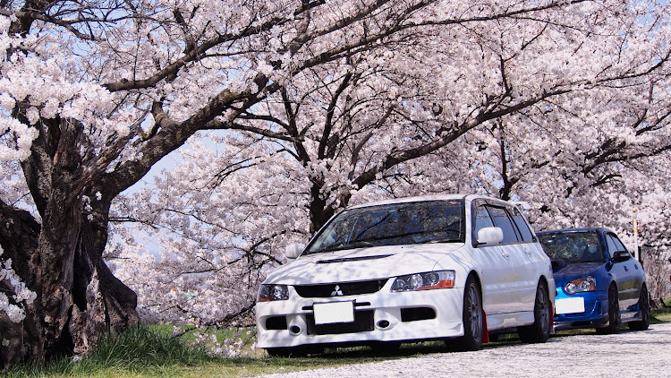 インプレッサ WRX STIのサクラと愛車・桜・信州サンデーミーティングに関するカスタム事例の投稿画像2枚目