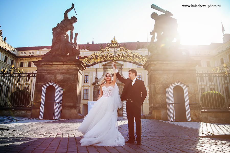 Fotografo di matrimoni Olga Kalacheva (kalachik). Foto del 17 luglio 2017