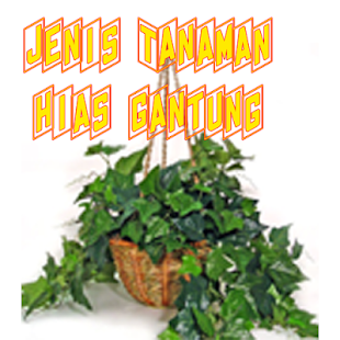 How to install Tanaman Hiasan Gantung Lengkap 1.0 mod apk for pc